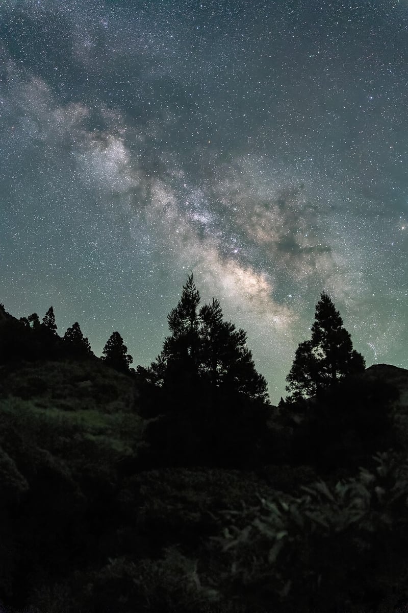 Night Sky Ceremony